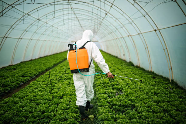 Best Affordable Pest Control Services  in Aldan, PA