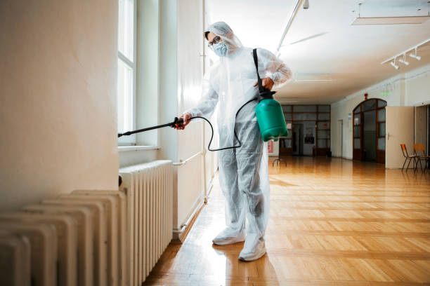 Best Flea Control Services  in Aldan, PA