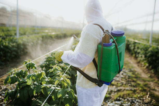 Flea Control Services in Aldan, PA